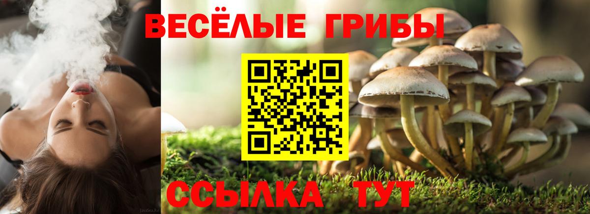 Марихуана  Меф МЯУ МЯУ кристаллы  Вход с VPN  КОКАИН  ГАШ  Дивногорск  Наркошоп  Alpha PVP СОЛЬ кристаллы 